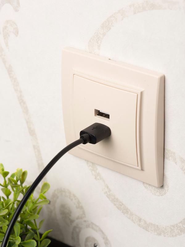Минск Розетка USB 2-местная СП 2,1А  бежевая   | ERR-2USB-200 | EKF — миниатюра 5