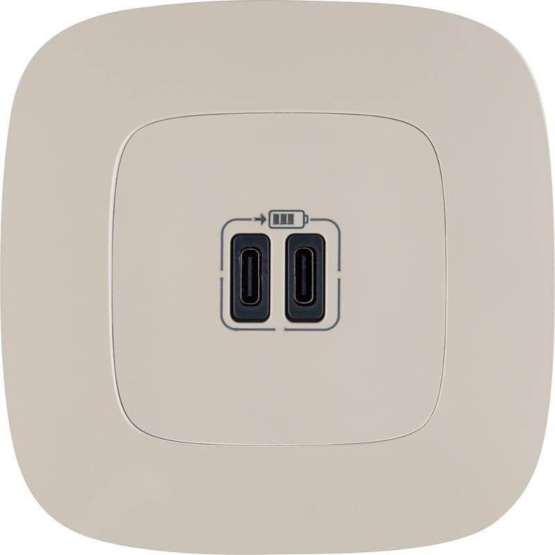 Valena ALLURE Сл. кость Зарядное устройство с 2-мя USB-разьемами тип С-тип С 240В/5В 3000мА С лицевой панелью — миниатюра 4