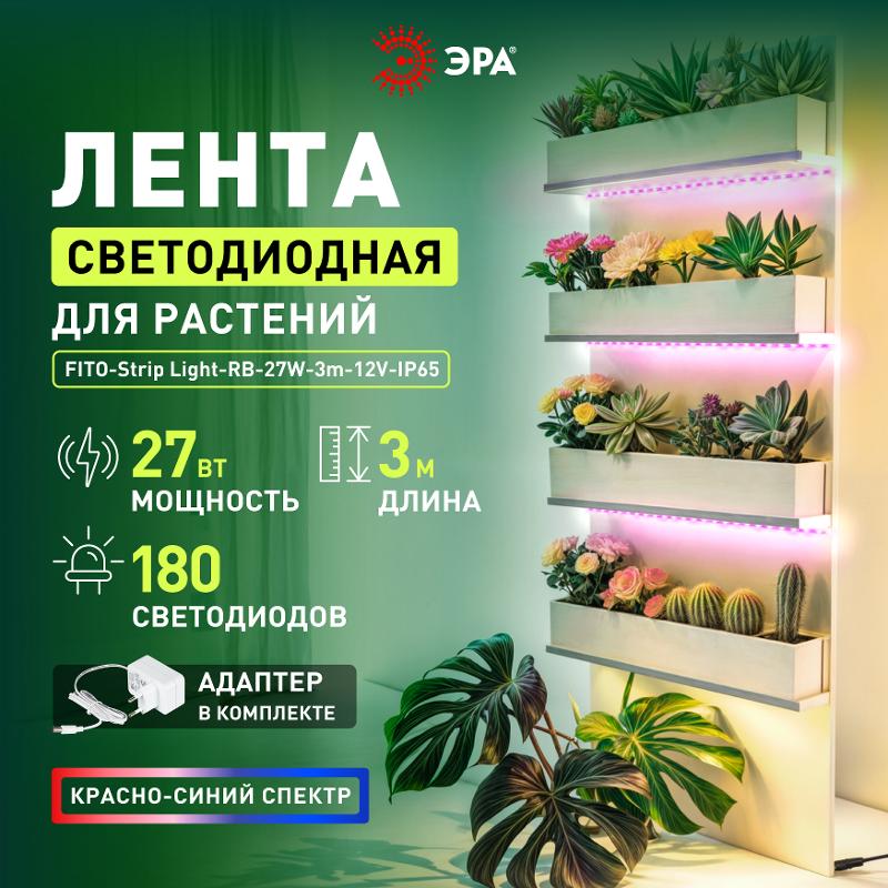 Светодиодная лента для растений  FITO-Strip Light-RB-27W-3m-12V-IP65 красно-синего спектра 3м IP65 с адаптером 12V | Б0064617 | ЭРА — миниатюра 4