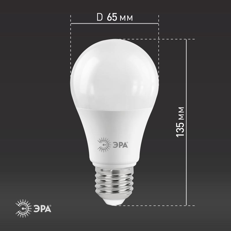 Лампа светодиодная LED 21Вт E27 2700К СТАНДАРТ груша | Б0035331 | ЭРА — миниатюра 4