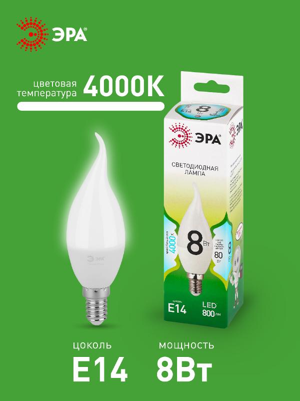 Лампа светодиодная  GREEN LINE LED BXS-8W-840-E14 GL E14 8 Вт свеча на ветру яркий белый свет | Б0067114 | ЭРА — миниатюра 3