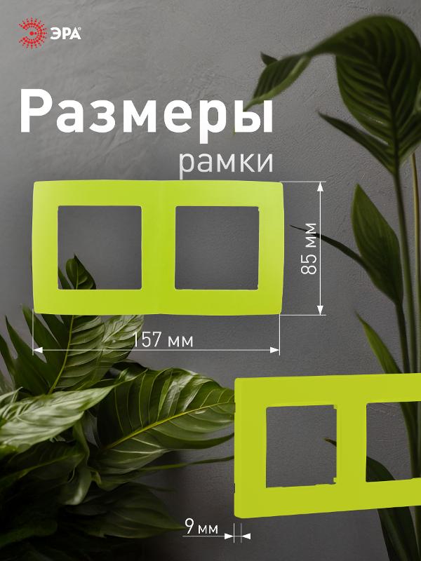 Рамка на 2 поста 12-5002-26  ,  лайм  |Б0019400 | ЭРА — миниатюра 3