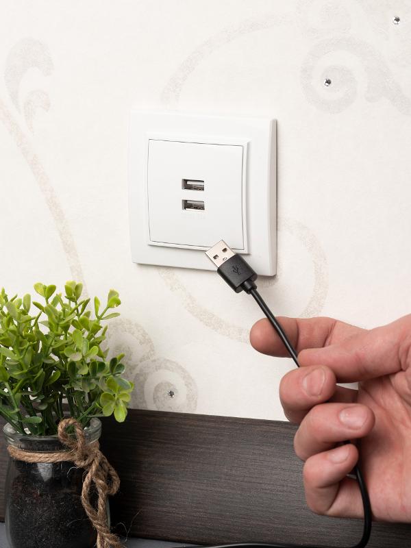 Минск Розетка USB 2-местная СП 2,1А  белая   | ERR-2USB-100 | EKF — миниатюра 5