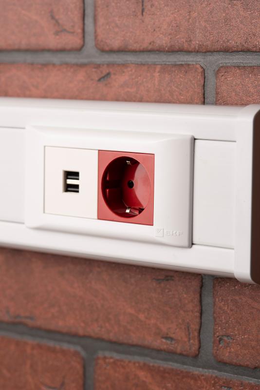 Розетка USB, сила тока 2,1 А (2 гнезда) без индикатора | E2MR2-20USB-10 | EKF — миниатюра 14