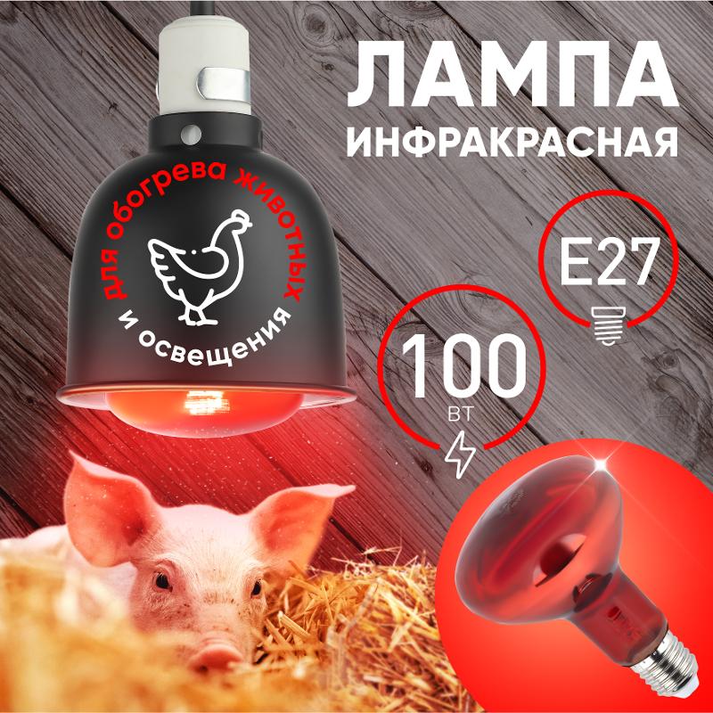 Инфракрасная лампа ИКЗК 230-100 R95 E27 для обогрева животных и освещения 100 Вт — миниатюра 3
