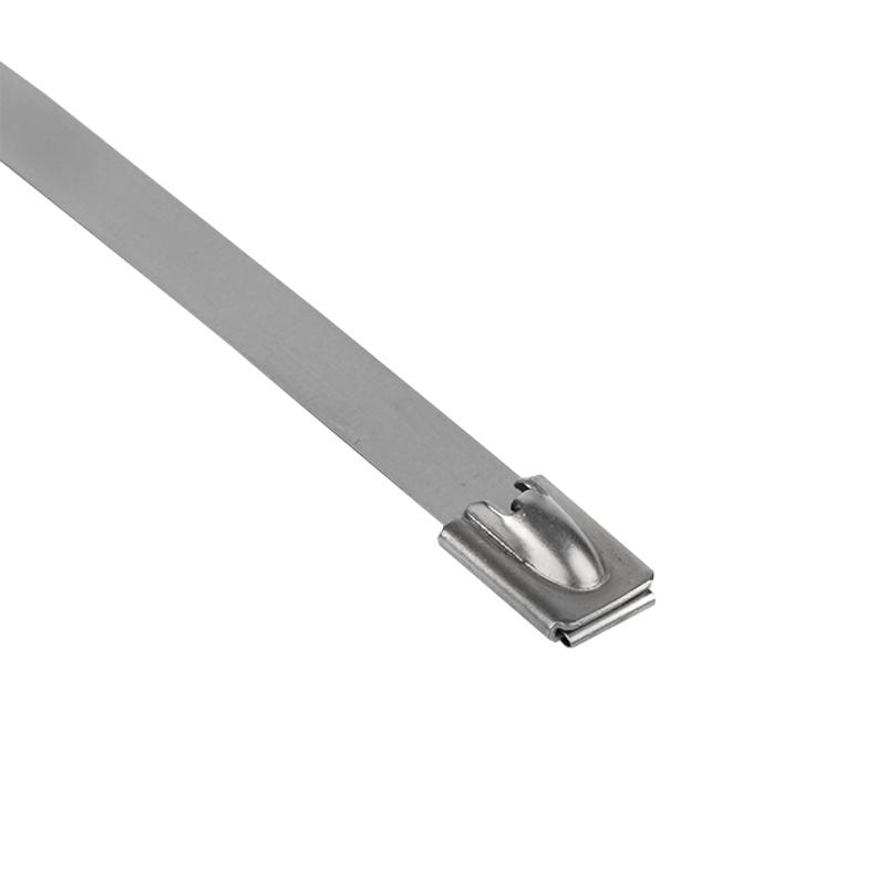 Хомут AISI 304 из нержавеющей стали, 7.9x360 (10 шт.) FlexLock PROxima | plc-fl-tss-304-7.9x360-r | EKF — миниатюра 4