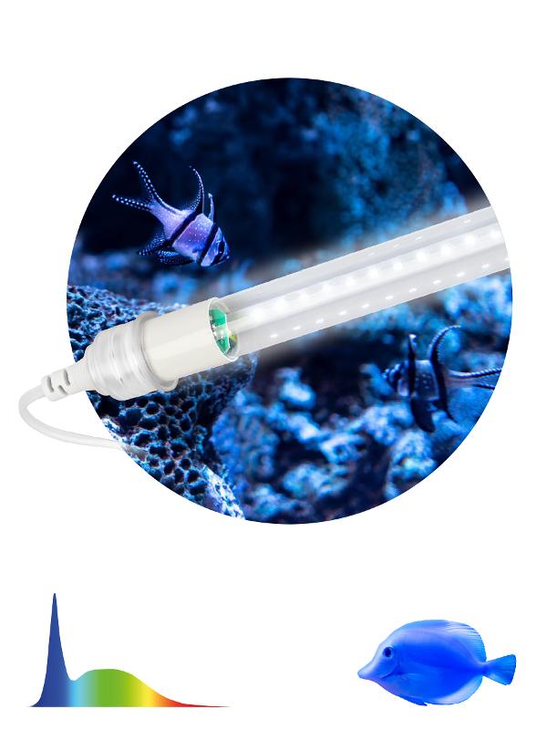 Фитолампа для растений светодиодная FITO-10W-Ra90-Т8-AQUA для аквариума, 10 Вт, полный спектр | Б0057417 | ЭРА — миниатюра 2
