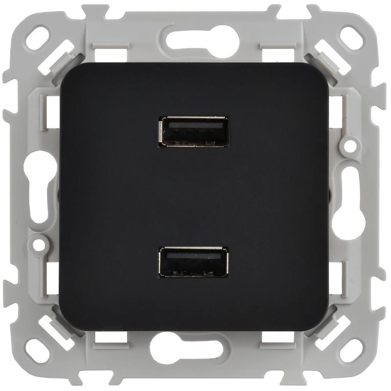 FLITE Розетка USB A+A 2,1А РЮ-2-ФлЧ черный | FI-U21-D31-K02 | IEK — миниатюра 2