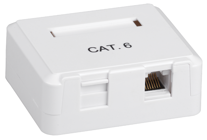 Настенная инф. розетка RJ45 кат. 5E FTP 2-порт | CS2-1C5EF-22 | ITK — миниатюра 2