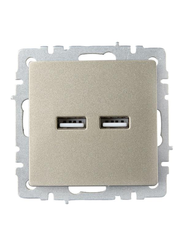 BRITE Розетка USB A+A 3,1А РЮ10-1-БрШ шампань | BR-U21-D31-K37 | IEK — миниатюра 2