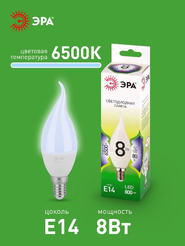 Лампа светодиодная  GREEN LINE LED BXS-8W-865-E14 GL E14 8 Вт свеча на ветру холодный свет | Б0067138 | ЭРА — миниатюра 3