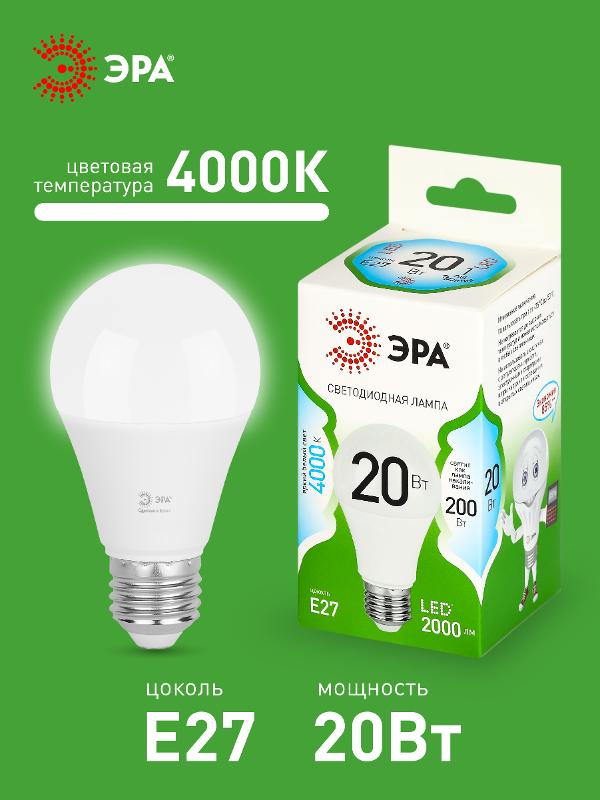 Лампа светодиодная  GREEN LINE LED A60-20W-840-E27 GL E27 20 Вт груша яркий белый свет | Б0067116 | ЭРА — миниатюра 3