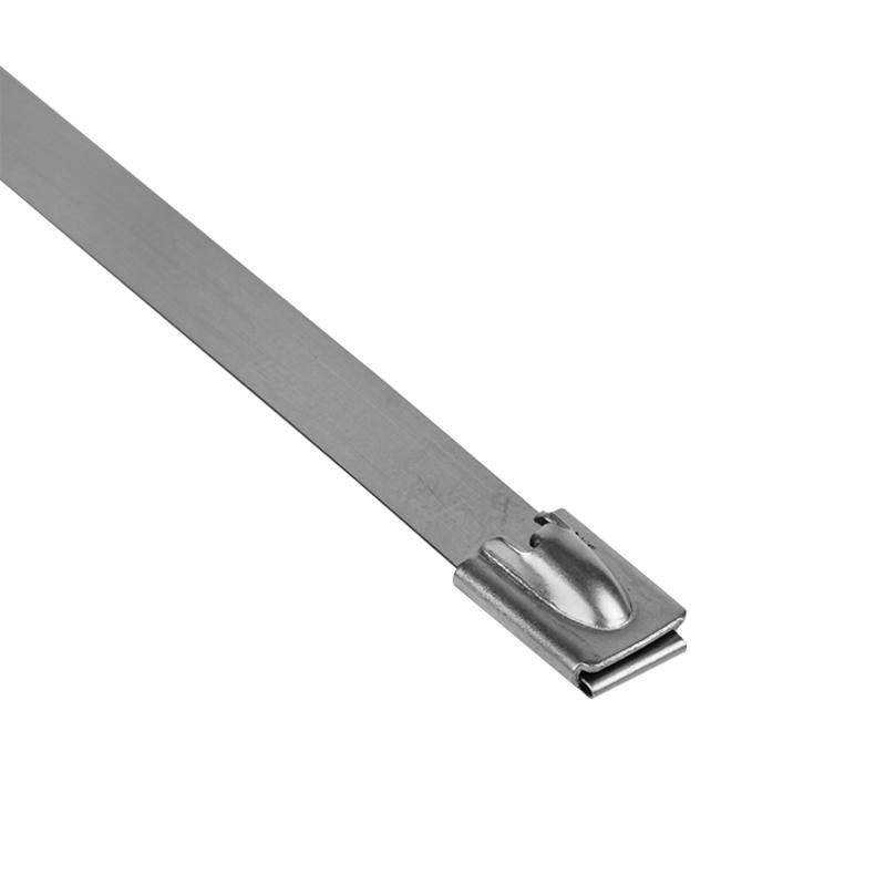 Хомут AISI 304 из нержавеющей стали, 7.9x290 (10 шт.) FlexLock PROxima | plc-fl-tss-304-7.9x290-r | EKF — миниатюра 4