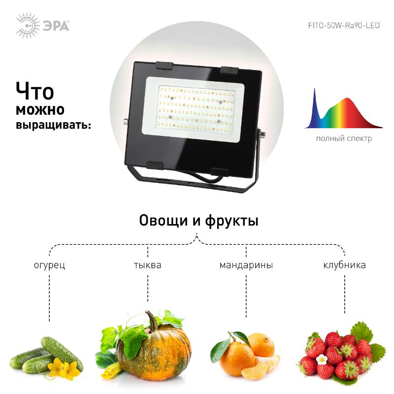 Прожектор светодиодный фито для растений FITO-50W-Ra90-LED для цветения и плодоношения (10/300) — миниатюра 8