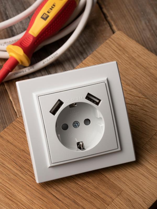 Минск Розетка 1-местная СП с/з 16А белая с защ. штор. с 2 USB 2,1А  | ERR16-028-100-2USB | EKF — миниатюра 2
