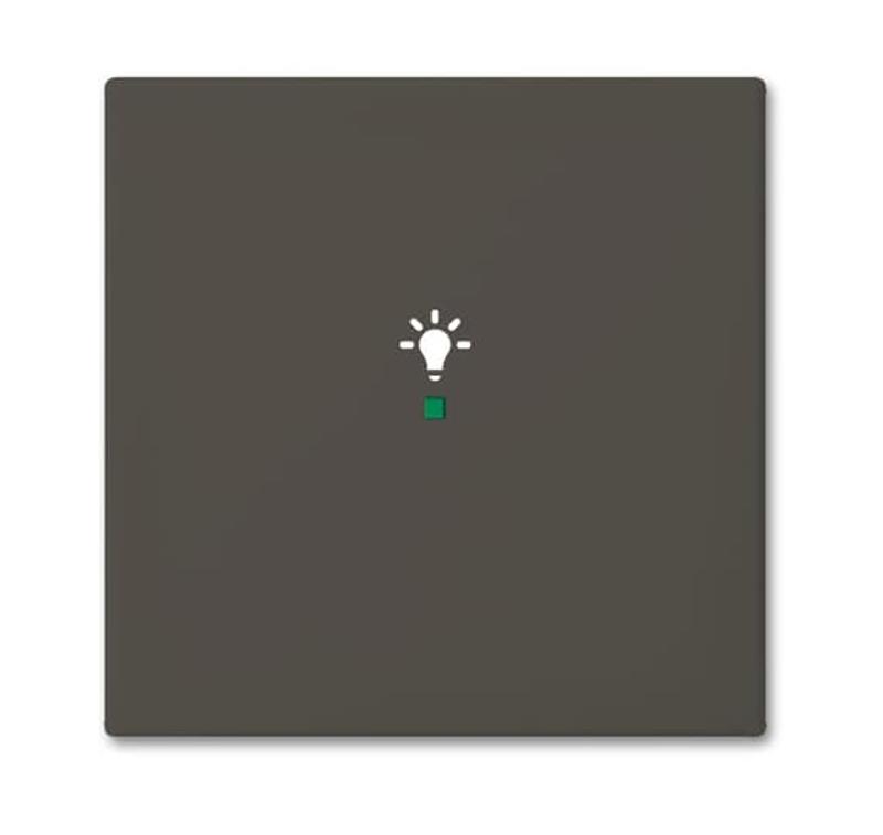 SRL-1-95 Клавиша одинарная free@home, освещение, Basic 55, цвет chateau-black | 6220-0-0687  | 2CKA006220A0687 | ABB — ABB