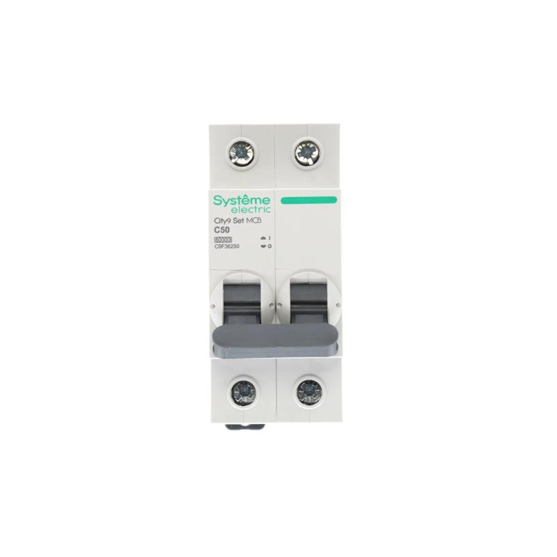 Выключатель автоматический двухполюсный 50A C 6kA City9 | C9F36250 |Systeme Electric — миниатюра 7