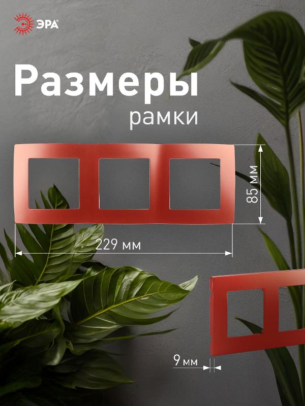 Рамка на 3 поста 12-5003-24  ,  охра  |Б0019407 | ЭРА — миниатюра 4