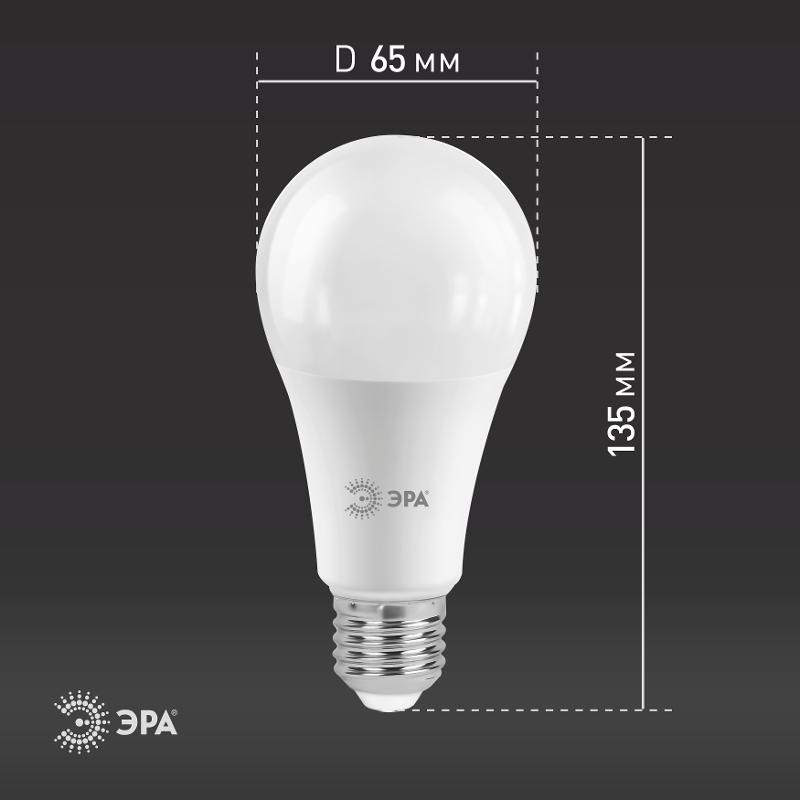 Лампа светодиодная LED 25Вт E27 4000К СТАНДАРТ груша | Б0035335 | ЭРА — миниатюра 5