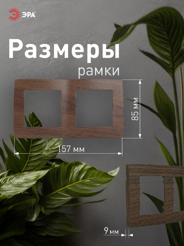 Рамка на 2 поста 12-5002-10  ,  венге  |Б0014760 | ЭРА — миниатюра 4