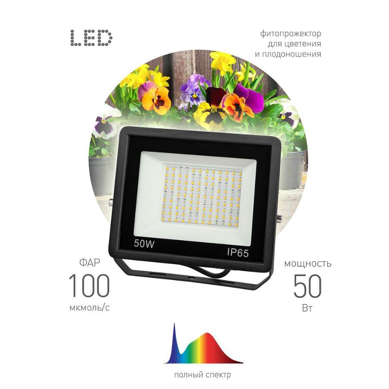 Прожектор светодиодный фито для растений FITO-50W-Ra90-LED для цветения и плодоношения (10/300) | Б0047875 | ЭРА — миниатюра 1