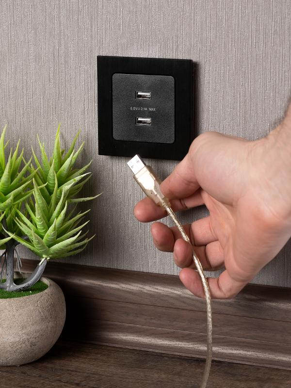 Стокгольм Механизм Розетки USB 2-местной 2,1А черный PROxima | EZR16-028-10-2USB | EKF — миниатюра 13