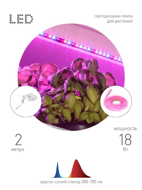 Светодиодная лента для растений FITO-Strip Light-RB-2m красно-синего спектра, 2 м, IP65 | Б0057282 | ЭРА — миниатюра 1