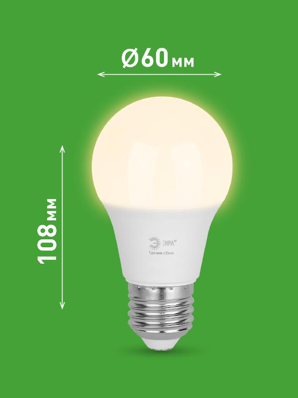 Лампа светодиодная  GREEN LINE LED A60-12W-830-E27 GL E27 12 Вт груша теплый свет | Б0067110 | ЭРА — миниатюра 2