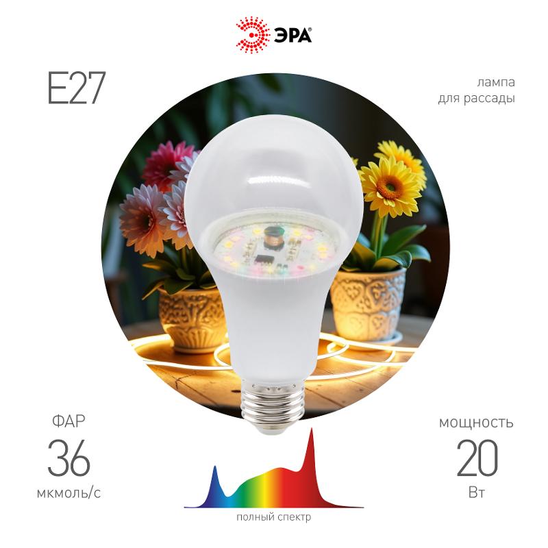 Фитолампа для растений светодиодная  GREEN LINE ФИТО A65-20W-PFR-E27-GR 20 Вт полного спектра | Б0068577 | ЭРА — ЭРА (Энергия света)