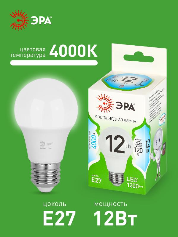 Лампа светодиодная  GREEN LINE LED A60-12W-840-E27 GL E27 12 Вт груша яркий белый свет | Б0067107 | ЭРА — миниатюра 3