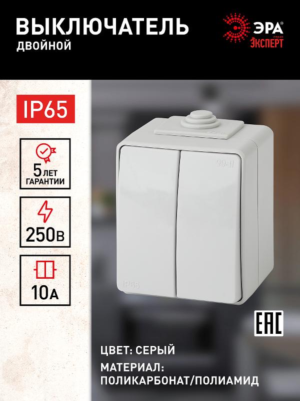 Выключатель 2-клавишный IP65, 10АХ-250В,11-1604-03, ОУ, Эра Эксперт, Серый | Б0035976 | ЭРА — миниатюра 2