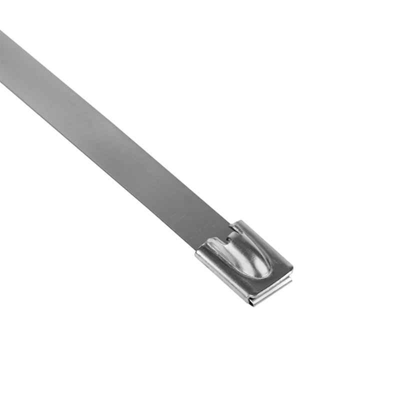 Хомут AISI 304 из нержавеющей стали, 7.9x200 (10 шт.) FlexLock PROxima | plc-fl-tss-304-7.9x200-r | EKF — миниатюра 4