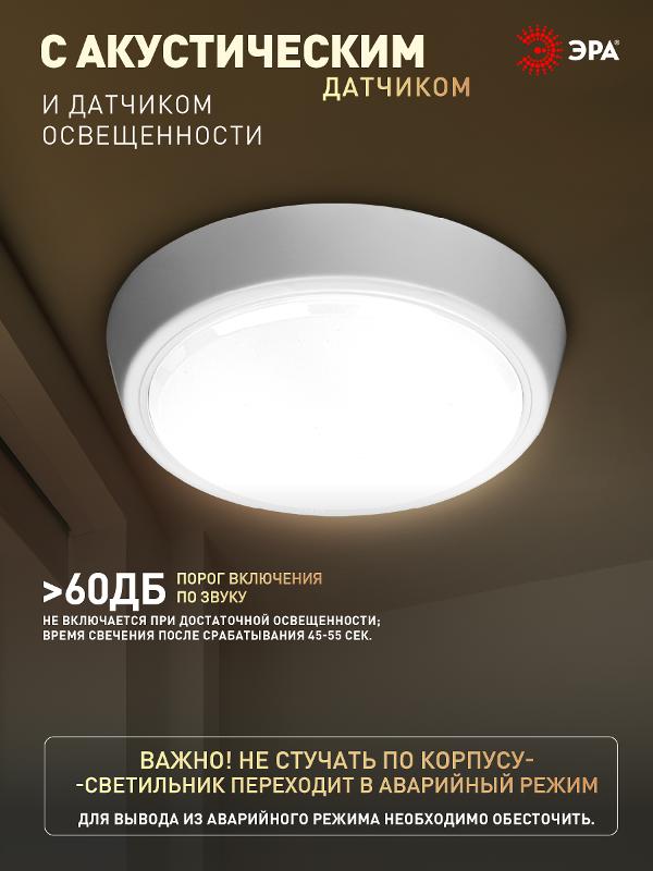 Лента светодиодная LS5050-14,4-60-12-6500K-IP65-1 year-5m | C0043047 | ЭРА — миниатюра 2