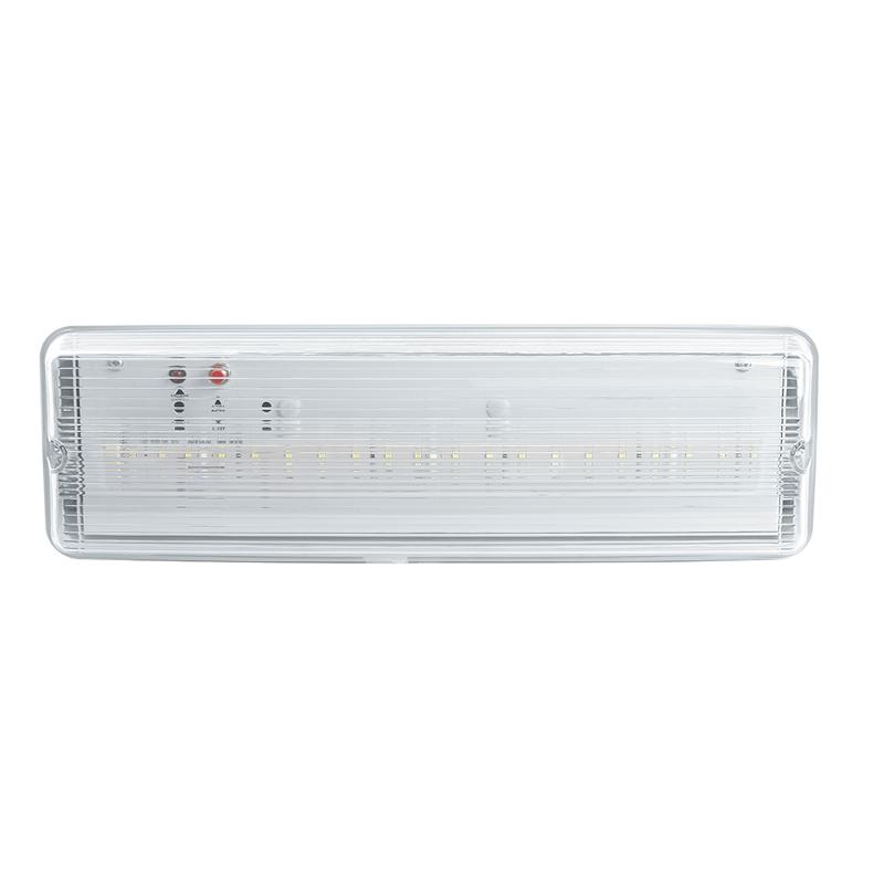 Светильник аварийный, 20 LED AC/DC, белый, EM101 с наклейкой ВЫХОД IP65 3 часа | 41536 | FERON — миниатюра 3