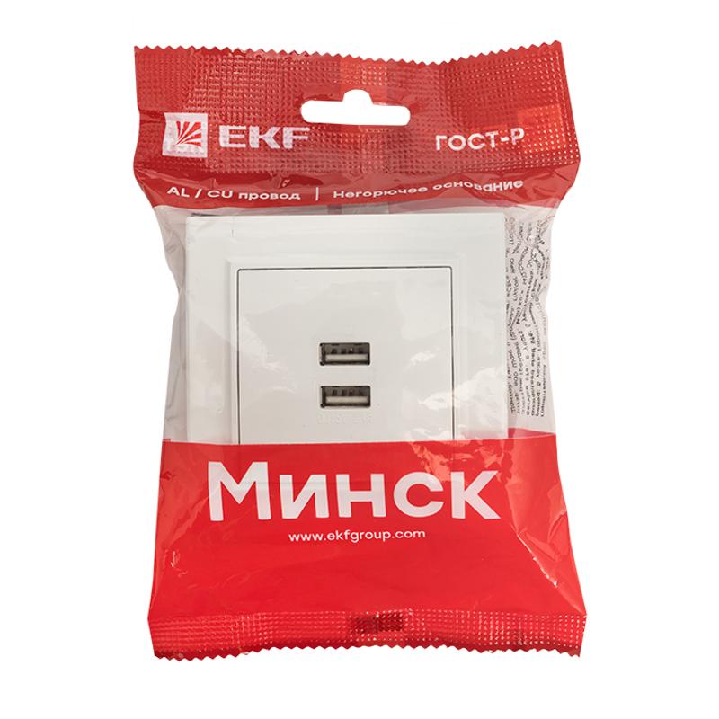 Минск Розетка USB 2-местная СП 2,1А  белая   | ERR-2USB-100 | EKF — миниатюра 8