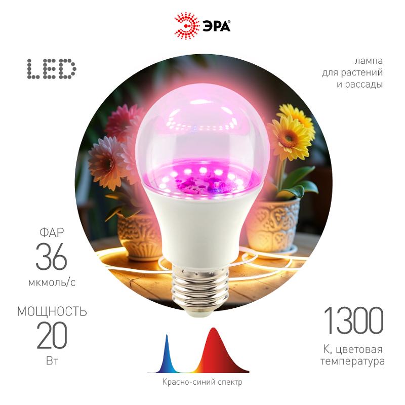 Фитолампа для растений светодиодная  FITO-20W-RB-E27 красно-синего спектра 20 Вт Е27 | Б0069710 | ЭРА — ЭРА (Энергия света)