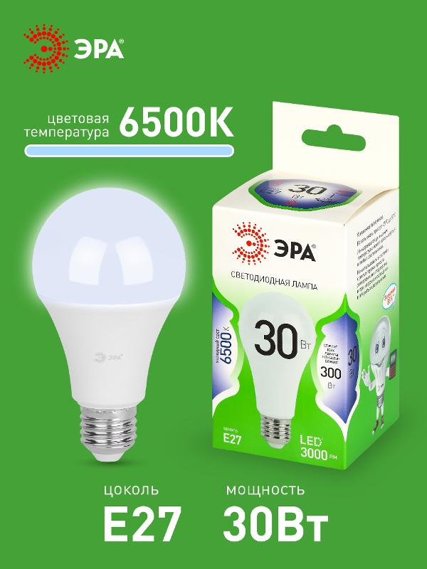 Лампа светодиодная  GREEN LINE LED A65-30W-865-E27 GL E27 30 Вт груша холодный свет | Б0067145 | ЭРА — миниатюра 3