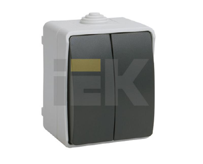 Форс Выключатель 2-клавишный О/У IP54 ВС20-2-0-ФСр| EVS20-K03-10-54-DC | IEK — миниатюра 2
