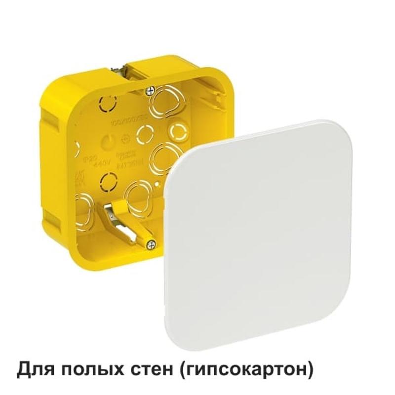 Коробка распределительная с/у 100х100х50 (для полых стен) | IMT35161 | SE — миниатюра 2