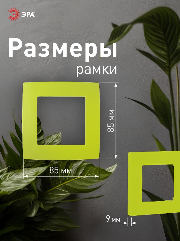 Рамка на 1 пост 12-5001-26  ,  лайм  |Б0019391 | ЭРА — миниатюра 4