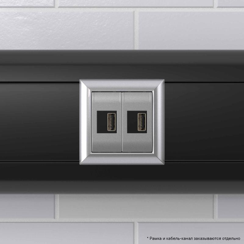 USB зарядное устройство модульное, "Avanti", "Закаленная сталь", 2модуля | 4404542 | DKC — миниатюра 9