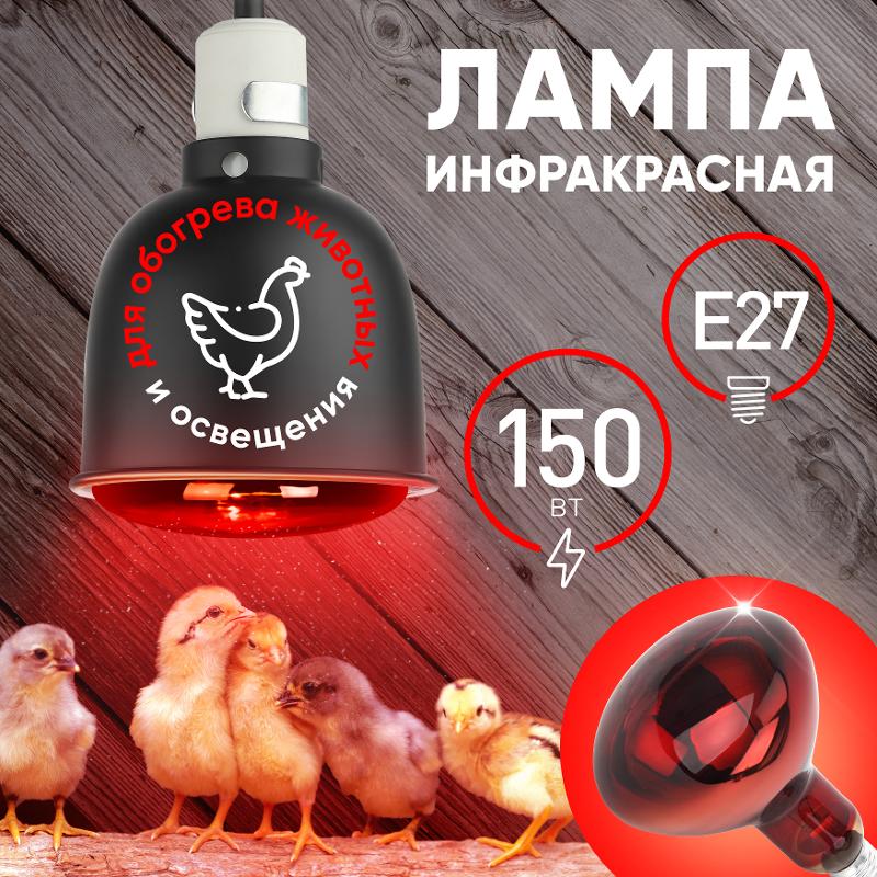 Инфракрасная лампа 150Вт ИКЗК 230-150 R127 Е27 для обогрева животных | Б0055441 | ЭРА — миниатюра 5