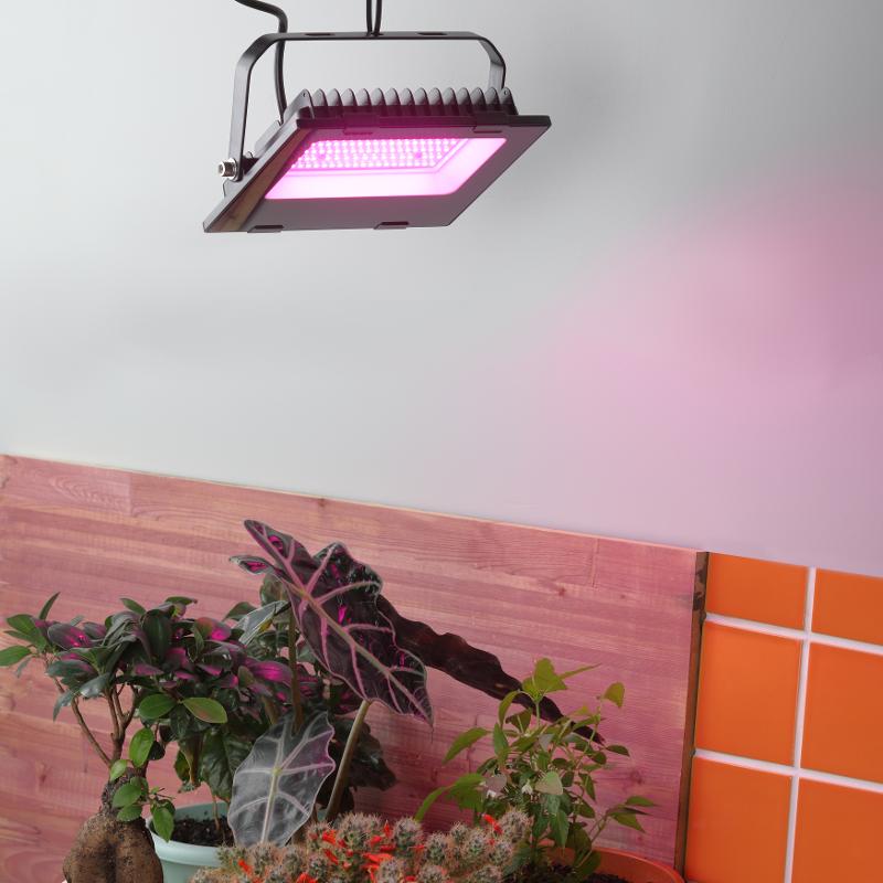 Прожектор светодиодный фито для растений красно-синий спектр FITO-50W-RB-LED — миниатюра 7