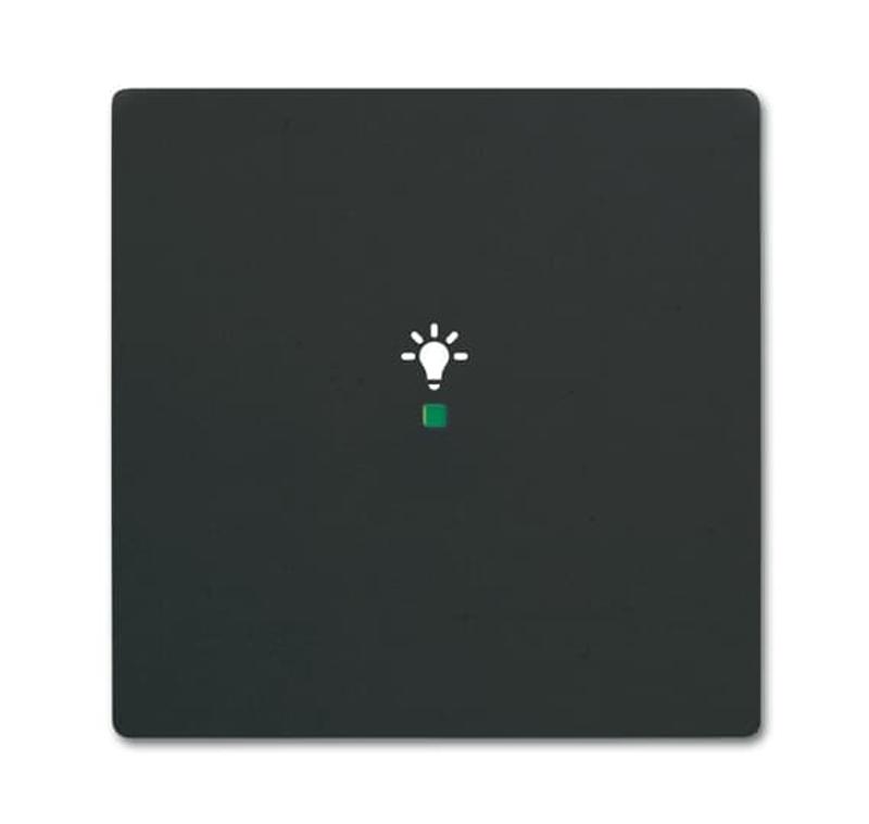 Клавиша одинарная free@home, освещение, future, цвет чёрный бархат| 2CKA006220A0619 | ABB — ABB