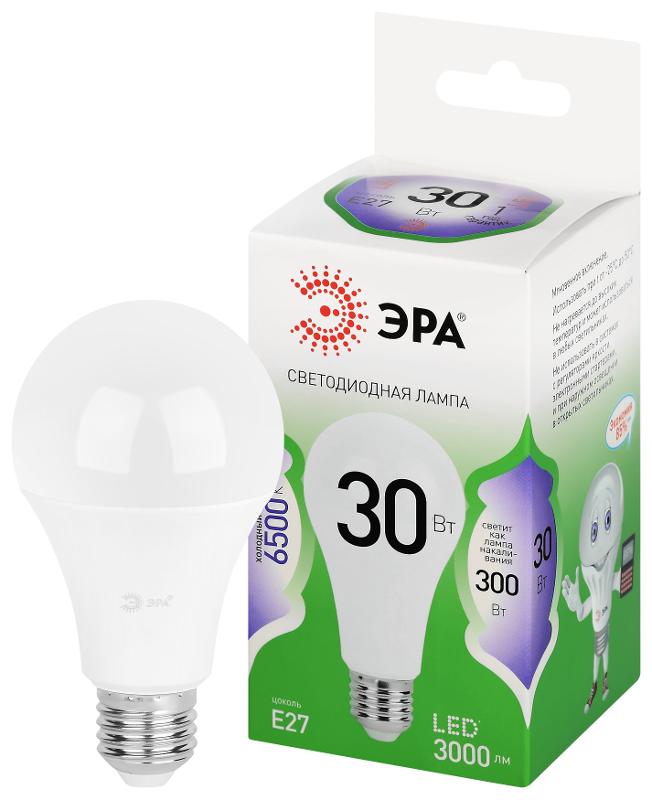 Лампа светодиодная  GREEN LINE LED A65-30W-865-E27 GL E27 30 Вт груша холодный свет | Б0067145 | ЭРА — ЭРА (Энергия света)