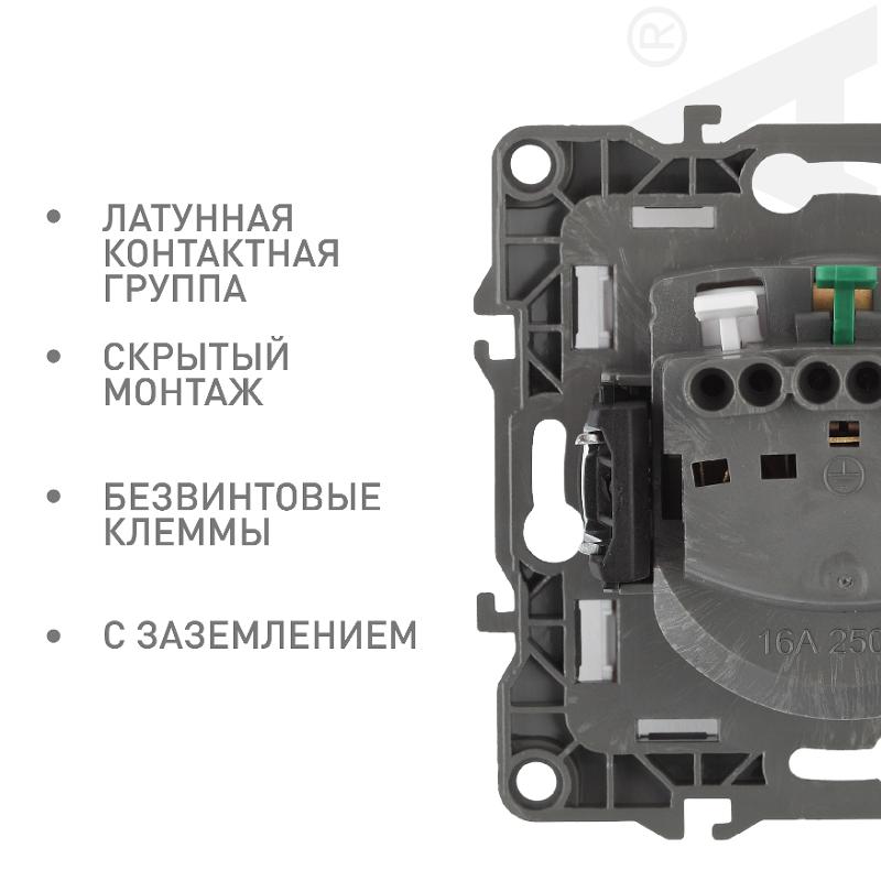 Розетка 12-2101-04 с заземлением, 16АХ-250В, шампань — миниатюра 2