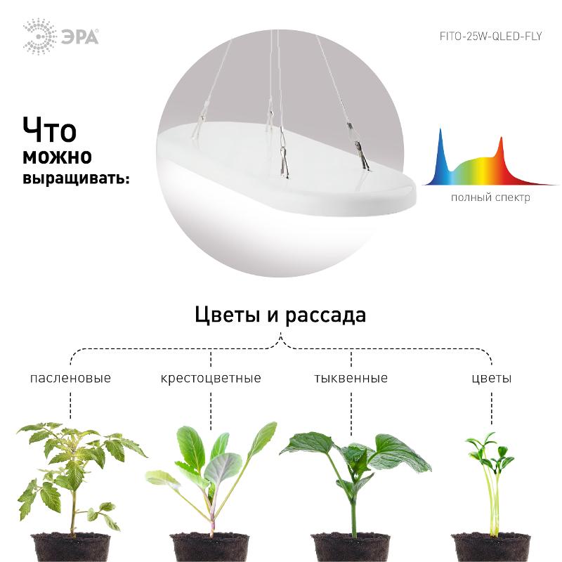 Светильник для растений 25Вт FITO-25W-QLED-FLY подвесной полного спектра | Б0053062 | ЭРА — миниатюра 3