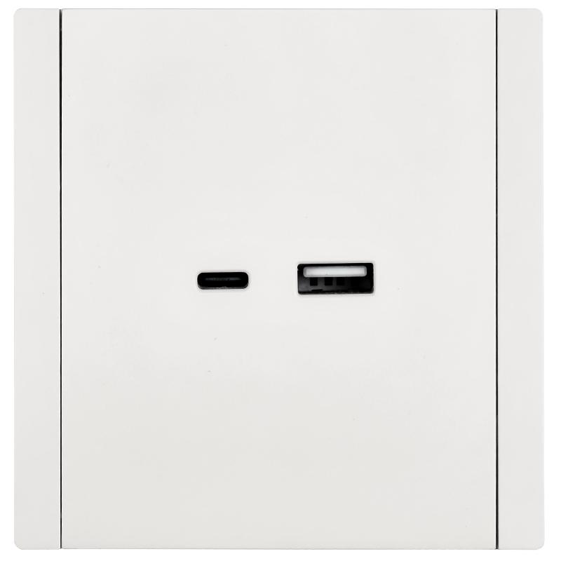FORTE&PIANO Розетка USB A+C 18Вт FP251 белый | FP-U22-018-K01 | IEK — миниатюра 2