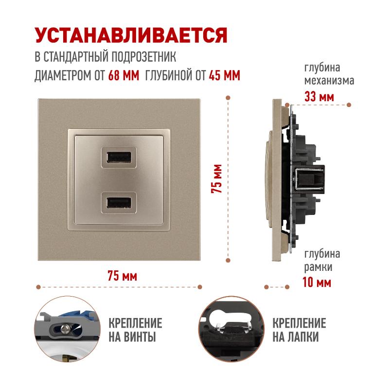 14-4110-04 Устройство зарядное USB, 230В/5В-2100мА, IP20, Эра Elegance, шампань | Б0034371 | ЭРА — миниатюра 2