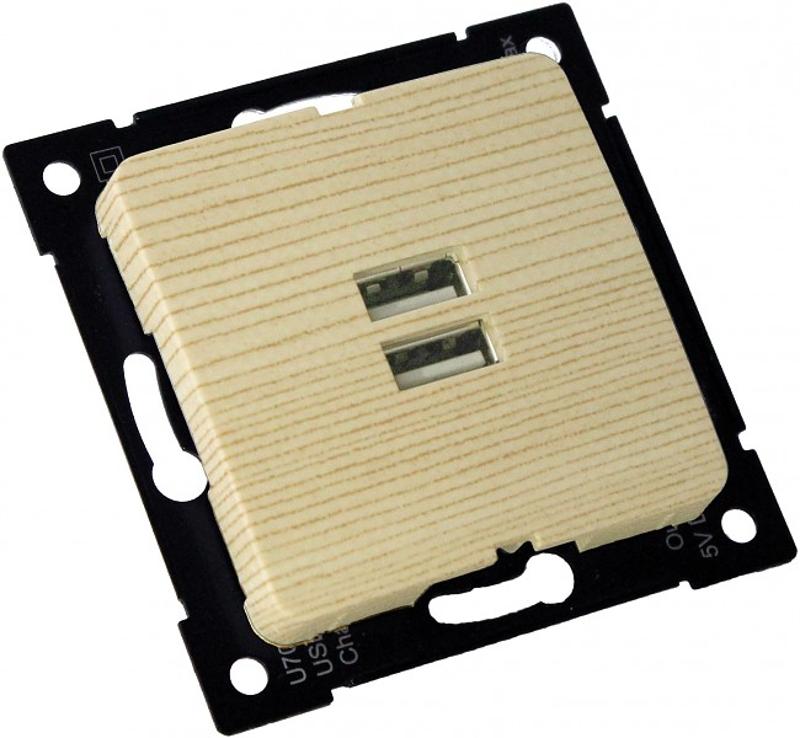 РС-USB-420-02 Розетка "Мастер" USB, С/У, механизм, цвет сосна | РС-USB-420-02 | HEGEL — фото 1 | Sento